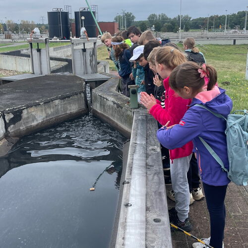 Grundschüler beim Blick ins Klärbecken Grundschüler beim Blick ins Klärbecken